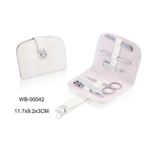 5PCS Bueaty Equipment New Travel Manicure Pedicure Set in Case